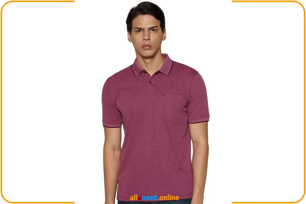 Peter England Polo T Shirt Men Premium
